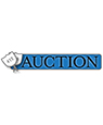 Auction 1