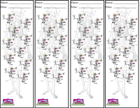 Bones Skeleton Halloween 4 per sheet